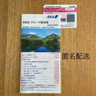 ANA 株主優待 1枚　グループ優待券(航空券)