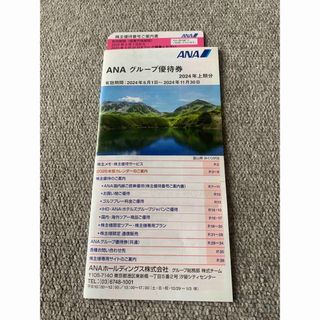 エーエヌエー(ゼンニッポンクウユ)(ANA(全日本空輸))のANA 全日空　優待　株主優待券　搭乗　割引券　1枚(航空券)