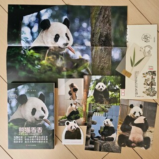熊猫香香　上野動物園　シャンシャン