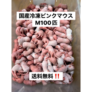 国産冷凍ピンクマウスM 100匹　沖縄及び離島発送追加料金