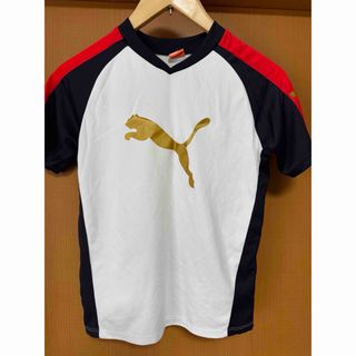 PUMA 140cm Tシャツ