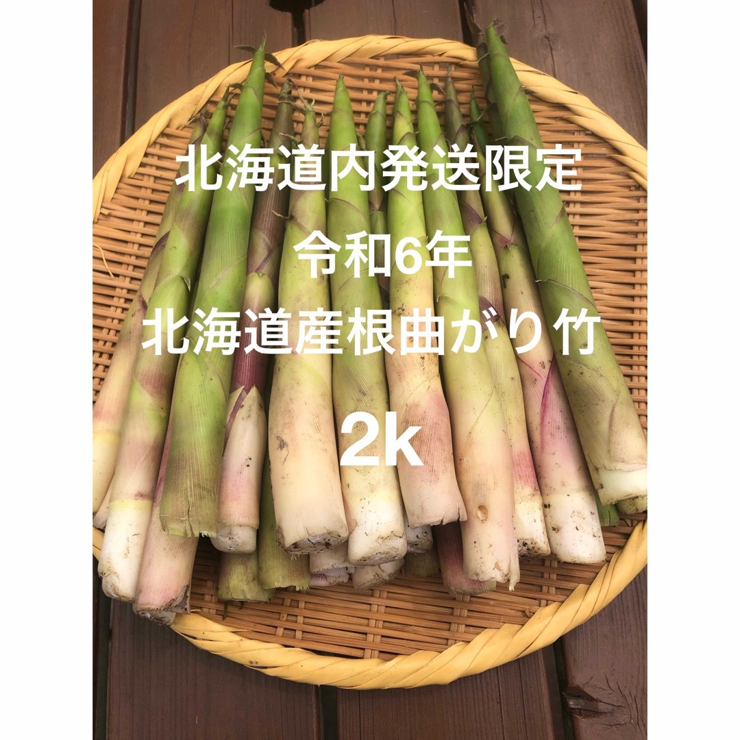 北海道内発送限定　令和6年　朝採り北海道産根曲がり竹　2k 食品/飲料/酒の食品(野菜)の商品写真