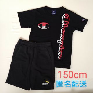 PUMA - 《Champion＆PUMA》Ｔシャツ＆短パン（150cm）