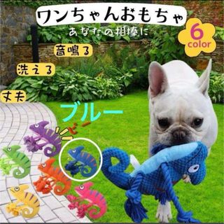 犬　おもちゃ　犬用おもちゃ 犬用品　ペット用品 ペット用おもちゃ 猫用おもちゃ(犬)