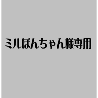 ミルぽんちゃん様専用(その他)