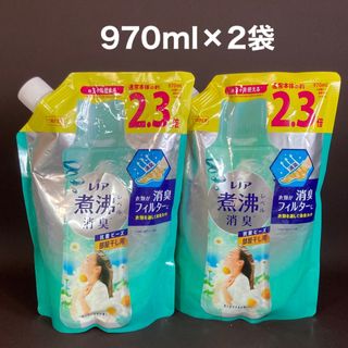 ピーアンドジー(P&G)のレノア 抗菌ビーズ 部屋干し 花とおひさまの香り 970ml 2袋(洗剤/柔軟剤)