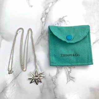 Tiffany & Co. - 希少 ティファニー スターモチーフ ネックレス ...