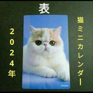 猫ミニカレンダー【2024年】　　　ポケットサイズカレンダー