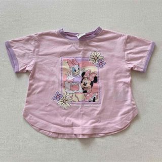 デイジー　ミニー　Tシャツ　lics