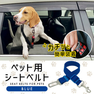 大人気 ブルー シートベルト 犬 ワンちゃん ペット用 車に乗せる 安心安全(犬)