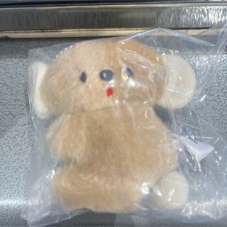 にこやまポッケ おすわりコアラのぬいぐるみ きなこ(その他)