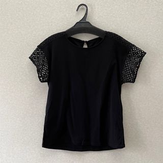 試着のみ　マイストラーダ　Tシャツ