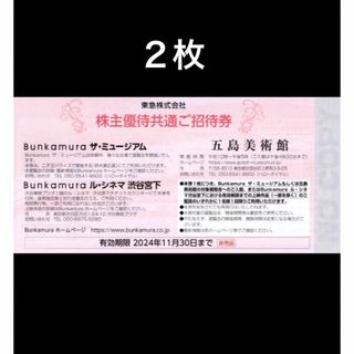 ２枚◆渋谷Bunkamuraザ・ミュージアム、ル・シネマ渋谷宮下共通ご招待券(美術館/博物館)