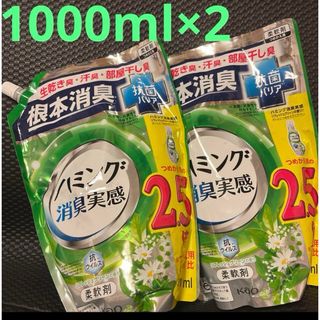 ハミング 消臭実感 リフレッシュグリーン 詰替用 1000ml×2袋(洗剤/柔軟剤)