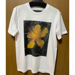 オーガニックコットンTシャツ