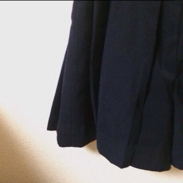 earth music & ecology(アースミュージックアンドエコロジー)の紺色プリーツスカート レディースのスカート(ミニスカート)の商品写真