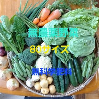 無農薬野菜　80サイズ　無科学肥料(野菜)