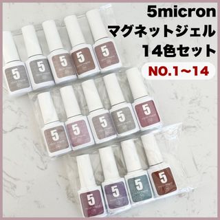 14色セット 5micron magnet マグネットネイル ジェルネイル 