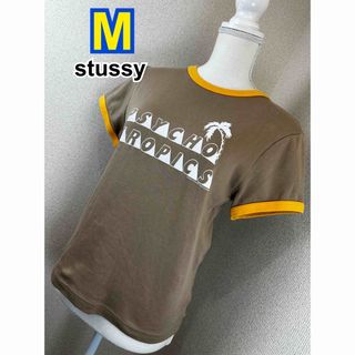 ステューシー(STUSSY)のstussy Tシャツ M(Tシャツ(半袖/袖なし))