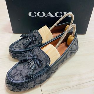 【極美品】coach コーチ ドライビングシューズ モイラ ローファー 23.0