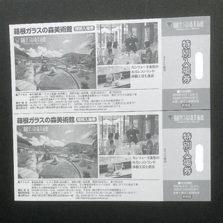 箱根ガラスの森美術館   入場招待券２枚セット（～2025.3.31）(美術館/博物館)