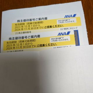 エーエヌエー(ゼンニッポンクウユ)(ANA(全日本空輸))のANA株主優待券★2枚(その他)