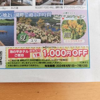 長野県　茅野市　信州　白樺池の平ホテル　ご宿泊1室1,000円OFFクーポン(宿泊券)