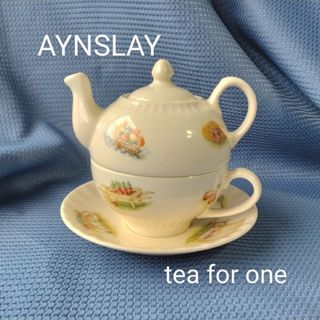 Aynsley China - エインズレイ AYNSLAY 英国製ティーフォーワン EDWARDIAN