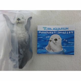 【5月末まで】ラッコのメイとキラ お手上げキラちゃん(その他)