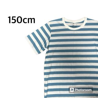 キッズ ボーダーTシャツ 150cm(Tシャツ/カットソー)