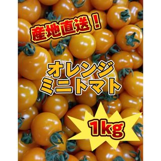 新鮮野菜 ミニトマト オレンジ 1kg(野菜)