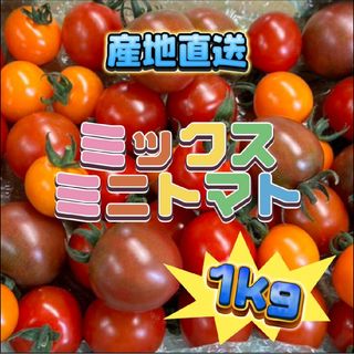 新鮮野菜 ミニトマト ミックス 1kg(野菜)