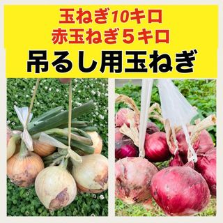 販売開始‼️どっちも欲しい‼️玉ねぎと赤玉のコラボセット‼️(野菜)