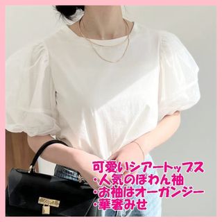 ♡大人気　ボリューム袖　ぽわん袖　パフスリーブ　スタイリッシュ　オルチャン(シャツ/ブラウス(半袖/袖なし))