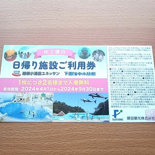 藤田観光 株主優待券 　1枚(２名分)　ユネッサン 下田海中水族館　株主優待券(その他)