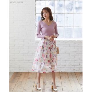 トッコクローゼット(TOCCO closet)のトッコクローゼット　シアーストライプ×フラワープリントフレアスカート(ひざ丈スカート)