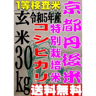 【送料無料 一等検査 玄米】令和5年産 京都 丹後 米 コシヒカリ 30kg(米/穀物)