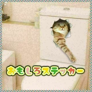 905　茶虎猫B　カーステッカー　おもしろステッカー　リアルキャット　可愛い