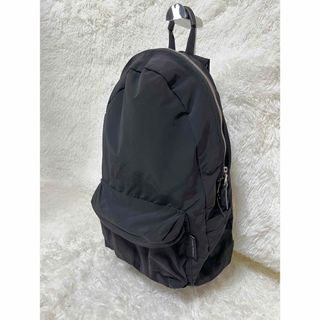 STANDARD SUPPLY - 『美品』STANDARD SUPPLY デイリーデイパック ブラック　ナイロン