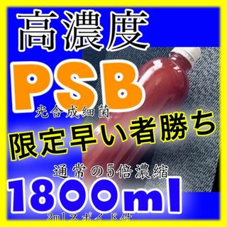 ☀️限定　驚き！高濃度 濃い光合成細菌PSB種菌　1800ml スポイド(アクアリウム)