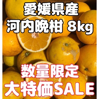 愛媛県産 みかん 家庭用 河内晩柑 箱込8kg 柑橘 ミカン 果物(フルーツ)