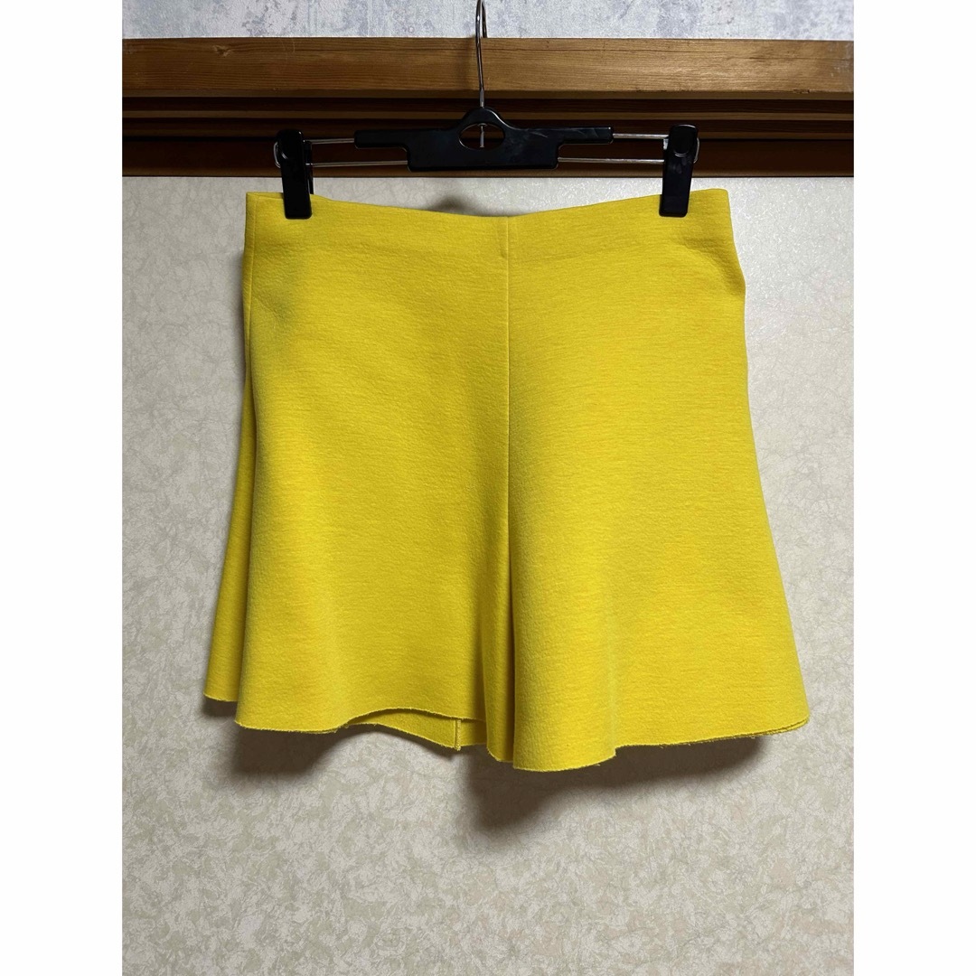 RED VALENTINO(レッドヴァレンティノ)のレッドヴァレンティノ　フレアスカート レディースのスカート(ミニスカート)の商品写真