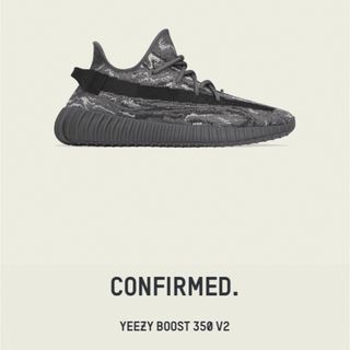 adidas YEEZY Boost 350 V2 Dark Salt