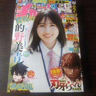 アキタショテン(秋田書店)の櫻坂46  的野美青   週刊少年チャンピオン 25号  付録応募券無(少年漫画)