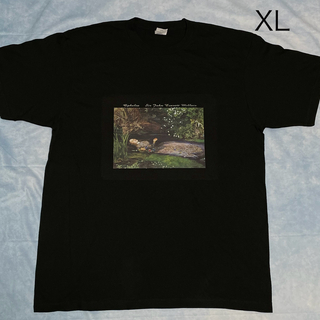 ミレイ オフィーリア　綿5.6オンスヘヴィーウエイトTシャツ　XLサイズ(Tシャツ/カットソー(半袖/袖なし))