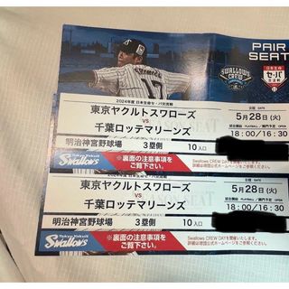 【最終】東京ヤクルトスワローズvs千葉ロッテマリーンズ