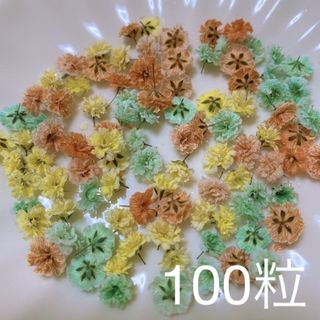 オレンジ×ミントグリーン系 かすみ草ドライフラワー100粒(ドライフラワー)