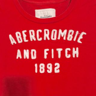 Abercrombie&Fitch - アバクロ★アバクロンビー＆フィッチ ロゴアップリケ Tシャツ