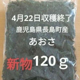 4月22日収穫終了 鹿児島県長島町産あおさ あおさのり 乾燥あおさ(魚介)