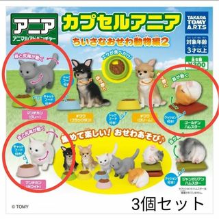 タカラトミー(Takara Tomy)の【新品】カプセルアニア ちいさなおせわ動物編2　3個セット(ぬいぐるみ/人形)